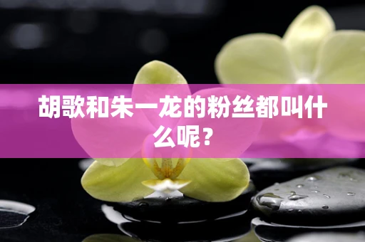 胡歌和朱一龙的粉丝都叫什么呢？