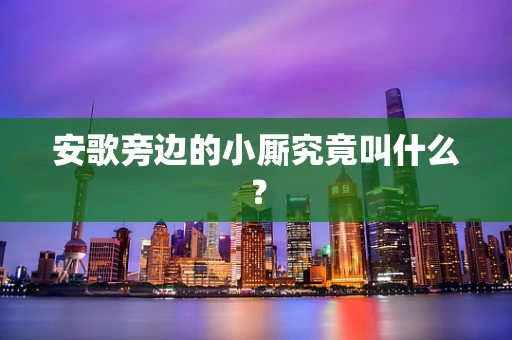 安歌旁边的小厮究竟叫什么？