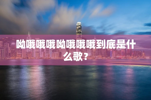 呦哦哦哦呦哦哦哦到底是什么歌？