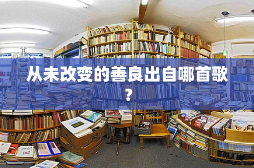 从未改变的善良出自哪首歌？