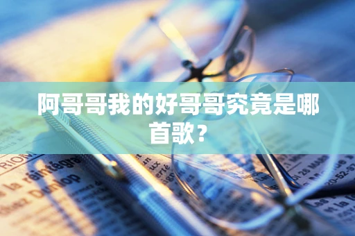 阿哥哥我的好哥哥究竟是哪首歌？