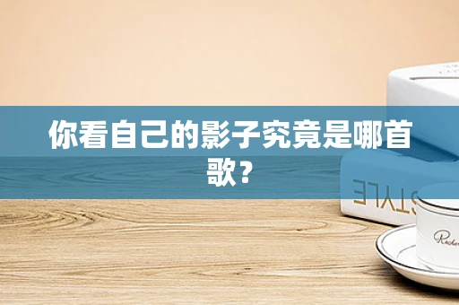 你看自己的影子究竟是哪首歌？