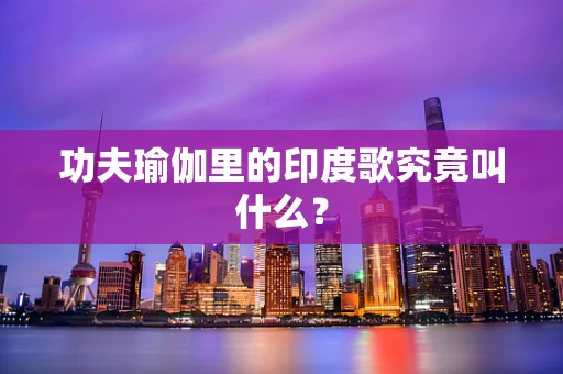 功夫瑜伽里的印度歌究竟叫什么？