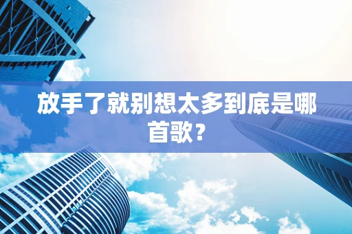 放手了就别想太多到底是哪首歌？
