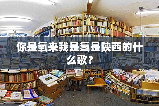 你是氧来我是氢是陕西的什么歌？