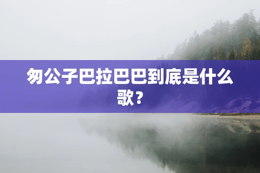 匆公子巴拉巴巴到底是什么歌？