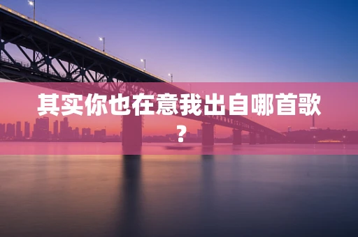 其实你也在意我出自哪首歌？