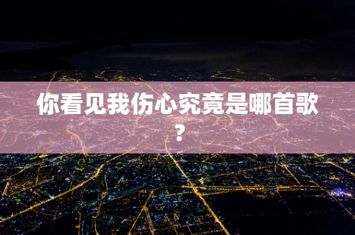 你看见我伤心究竟是哪首歌？