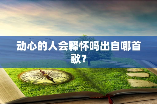 动心的人会释怀吗出自哪首歌？