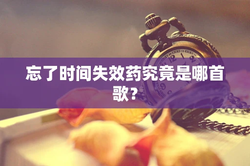 忘了时间失效药究竟是哪首歌？