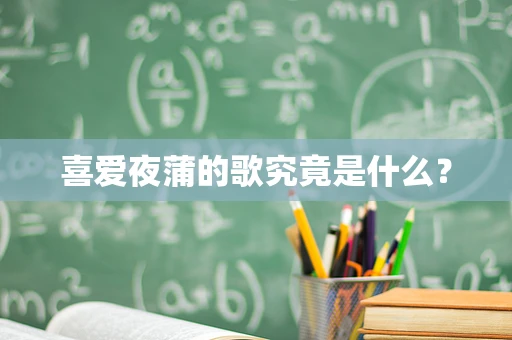 喜爱夜蒲的歌究竟是什么？