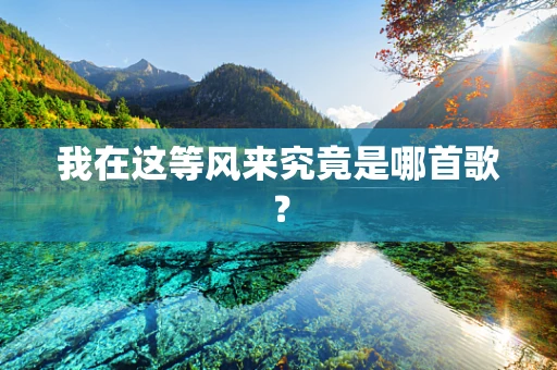 我在这等风来究竟是哪首歌？