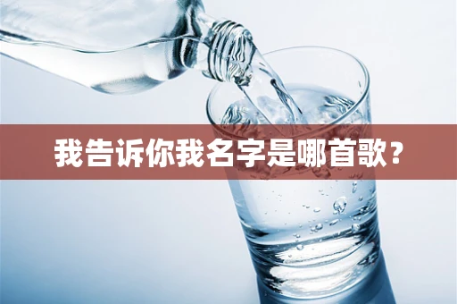 我告诉你我名字是哪首歌？