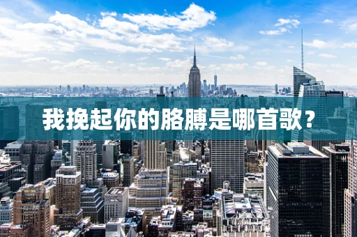 我挽起你的胳膊是哪首歌？