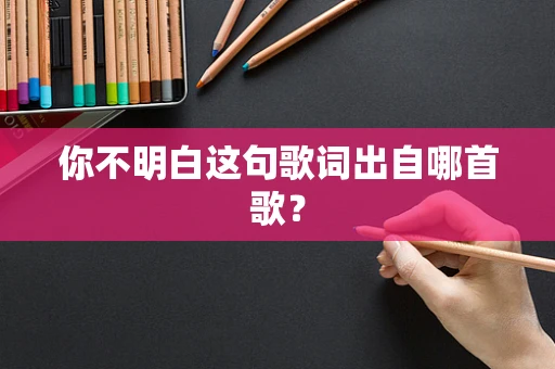 你不明白这句歌词出自哪首歌？