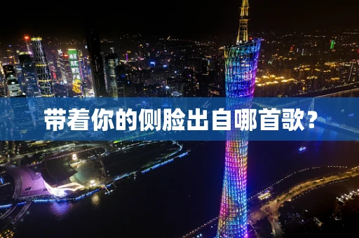 带着你的侧脸出自哪首歌？