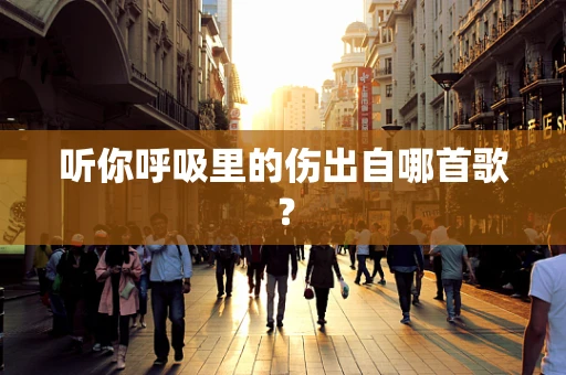 听你呼吸里的伤出自哪首歌？
