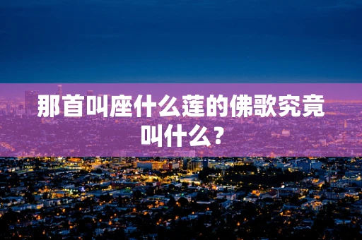 那首叫座什么莲的佛歌究竟叫什么？