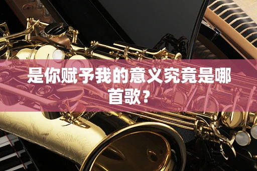 是你赋予我的意义究竟是哪首歌？