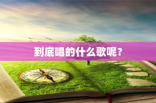 到底唱的什么歌呢？