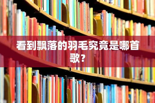 看到飘落的羽毛究竟是哪首歌？