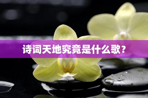 诗词天地究竟是什么歌？