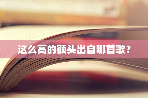 这么高的额头出自哪首歌？