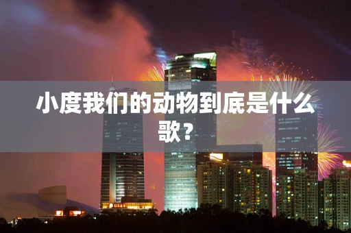 小度我们的动物到底是什么歌？