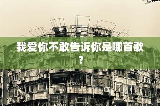 我爱你不敢告诉你是哪首歌？