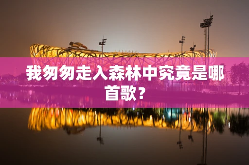 我匆匆走入森林中究竟是哪首歌？