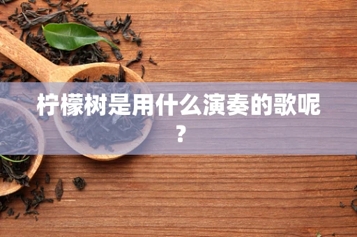 柠檬树是用什么演奏的歌呢？