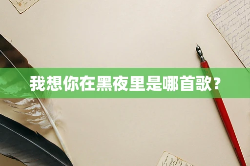 我想你在黑夜里是哪首歌？