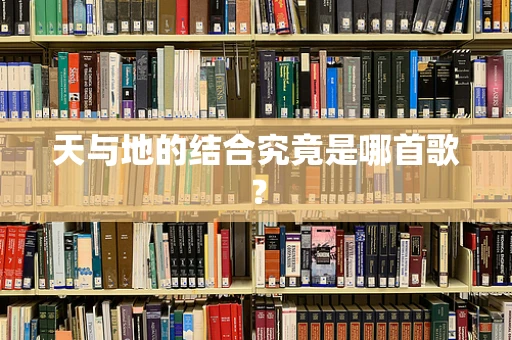 天与地的结合究竟是哪首歌？