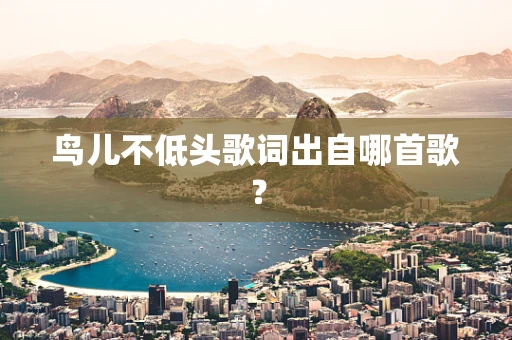 鸟儿不低头歌词出自哪首歌？