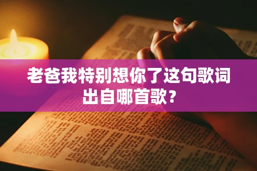 老爸我特别想你了这句歌词出自哪首歌？