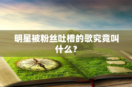 明星被粉丝吐槽的歌究竟叫什么？