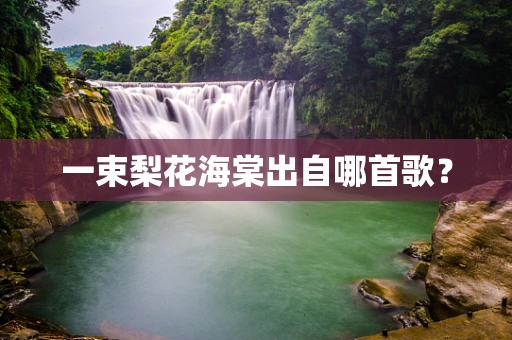 一束梨花海棠出自哪首歌？