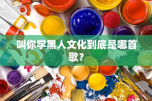 叫你学黑人文化到底是哪首歌？