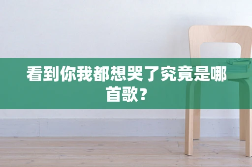 看到你我都想哭了究竟是哪首歌？