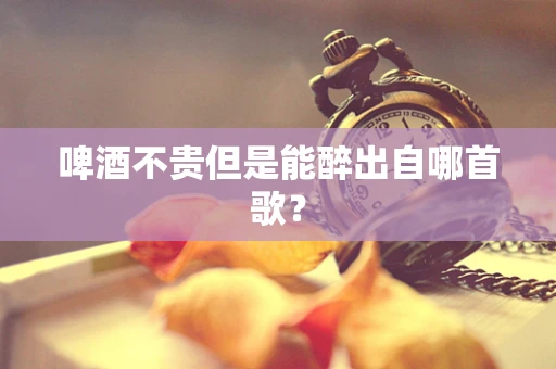啤酒不贵但是能醉出自哪首歌？