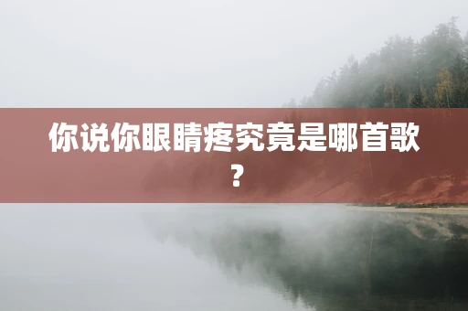 你说你眼睛疼究竟是哪首歌？