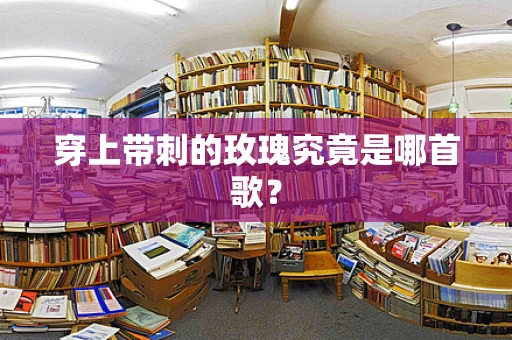 穿上带刺的玫瑰究竟是哪首歌？
