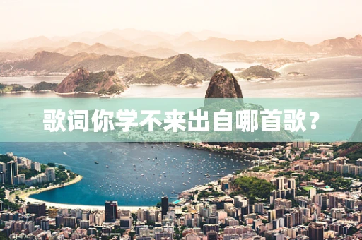 歌词你学不来出自哪首歌？