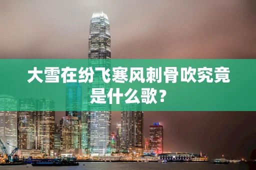 大雪在纷飞寒风刺骨吹究竟是什么歌？