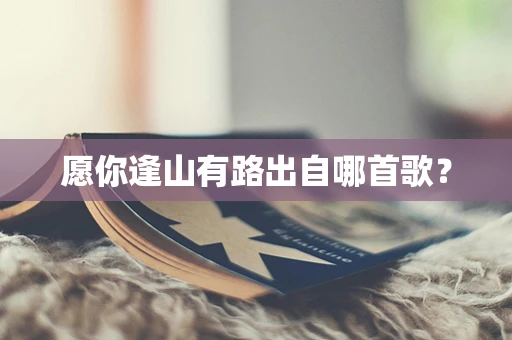 愿你逢山有路出自哪首歌？