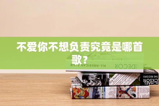 不爱你不想负责究竟是哪首歌？