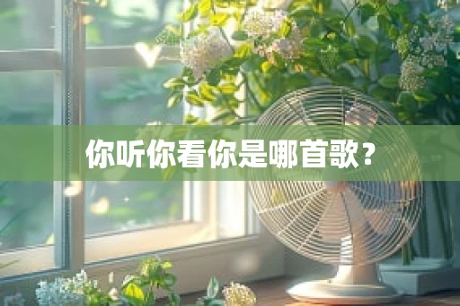 你听你看你是哪首歌？