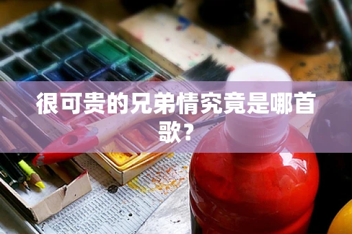 很可贵的兄弟情究竟是哪首歌？