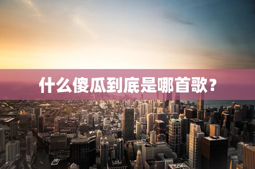 什么傻瓜到底是哪首歌？
