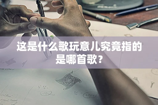 这是什么歌玩意儿究竟指的是哪首歌？